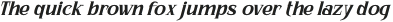 Bhattary Italic Black otf (900)