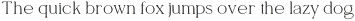 RONNER otf (400)