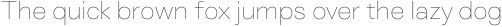 Genora Sans Thin otf (100)