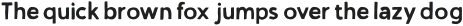 Volume TC Sans Rustic Solid otf (400)
