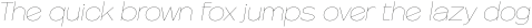 Frink Rio ThinItalic ttf (100)