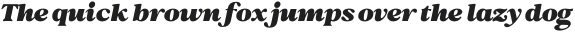 Behind The Nineties Black Italic otf (900)