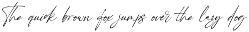 Kith - handmade script preview