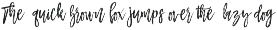 Mustache Script preview