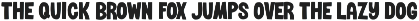 Flower and Cactus Font Duo preview