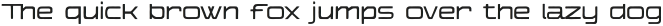 The Falcone Light otf (300)
