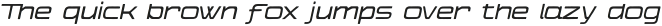 The Falcone Light Italic otf (300)