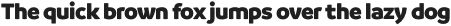 Branding Black otf (900)