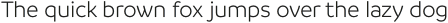 Branding Semilight otf (300)