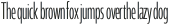 Coegit Compressed Light otf (300)