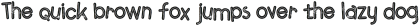 Terminal Bold Line Grunge otf (700)