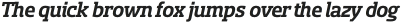 Sancoale Slab Norm Bold Ital otf (700)
