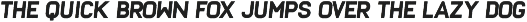 Frank - Display sans with 20 fonts preview