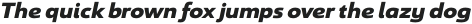 Savigny Black Ext Italic otf (900)