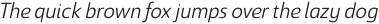 Savigny Regular Norm Italic otf (400)