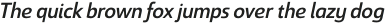 Savigny Medium Norm Italic otf (500)