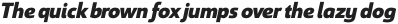 Savigny Black Norm Italic otf (900)