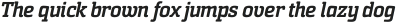 Sommet Slab Rnd Black Italic otf (900)