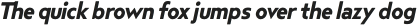 Steagal Bold Italic otf (700)