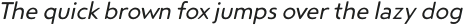 Steagal Rough Regular Italic otf (400)