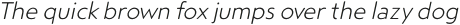 Steagal Rough Light Italic otf (300)