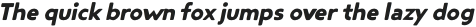 Steagal Rough Bold Italic otf (700)