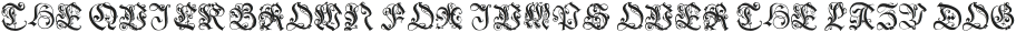 1543 German Deluxe Initials otf (400)