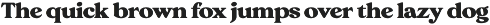 Giraffe Bold Serif Font preview