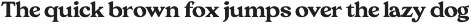 Giraffe Bold Serif Font preview