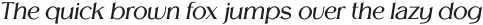 Melion Light Italic otf (300)