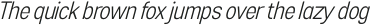 Esenka Light Italic otf (300)