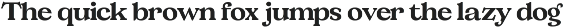 Valverde Functional Serif-36 Fonts preview