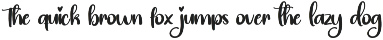 Welcome Signature | Script Font preview