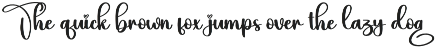 Digital | Script Font preview