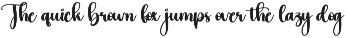 Runday | Script Font preview