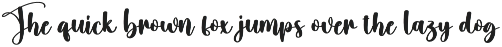 Candy | Script Font preview