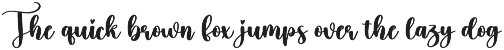 Wildflower | Script Font preview