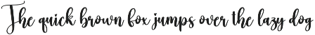 Blubbery | Script Font preview