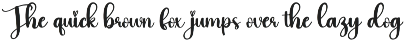 Bright | Script Font preview