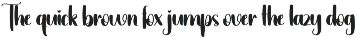Writting Creative | Script Font preview