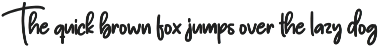 Champion | Script Font preview