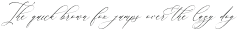 Relatta Saidnolia Script Italic otf (400)