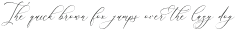 Relatta Saidnolia Script otf (400)