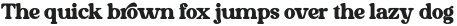 Morally Serif Regular otf (400)