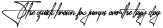 Jalliya Five otf (400)