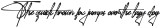 Jalliya Six otf (400)