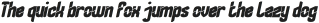 Human Graphic Bold Italic otf (700)