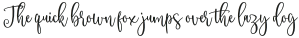 PandaScript otf (400)