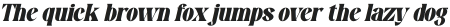 Pronema Serif Slant Italic otf (400)