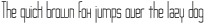Asche ttf (300)